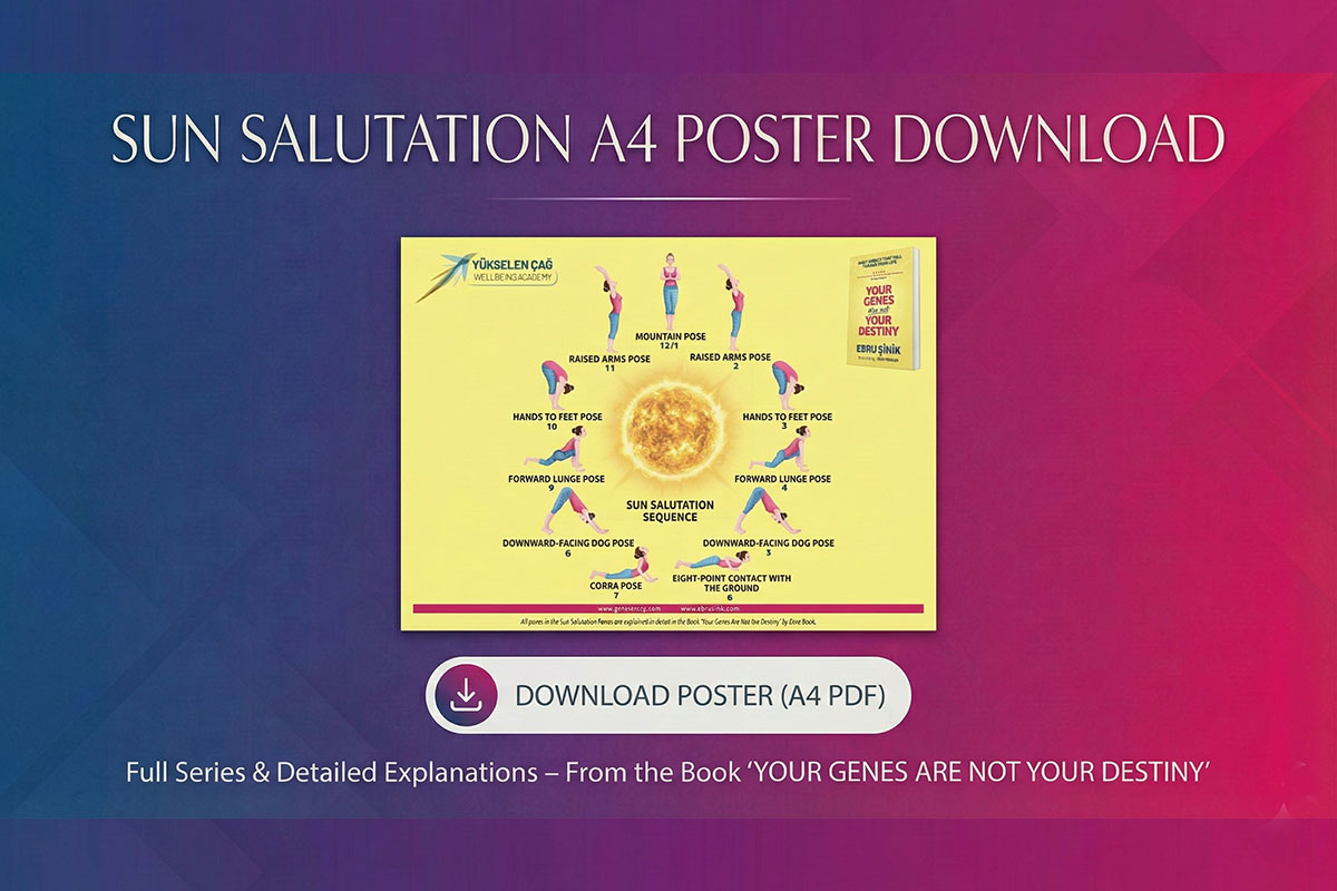 Sun Salutation Sequence