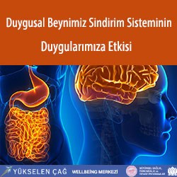 Duygusal Beynimiz Sindirim Sisteminin Duygularımıza Etkisi