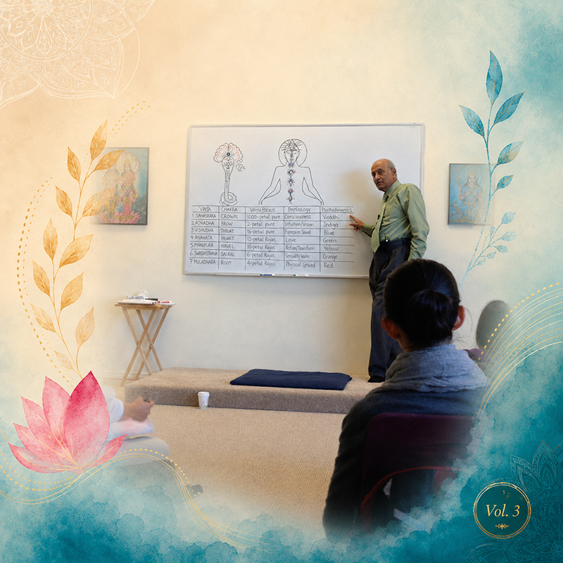 Dr. Vasant Lad teaching Ayurveda – Ayurveda Interview with Ebru Şinik, Vol. 3