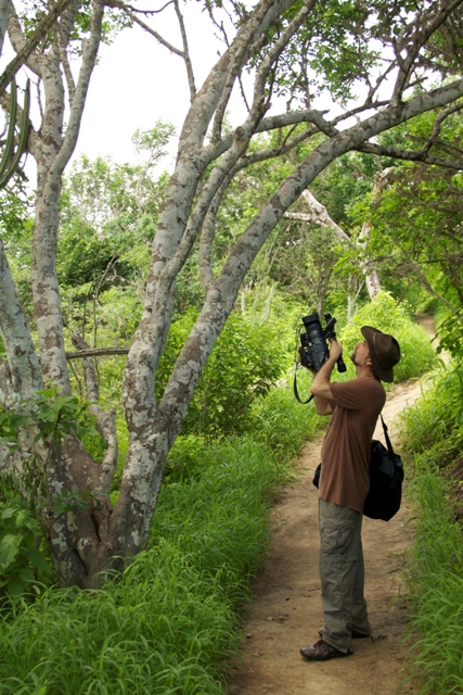 David Crow in nature during his exploration of Palo Santo and botanical medicine