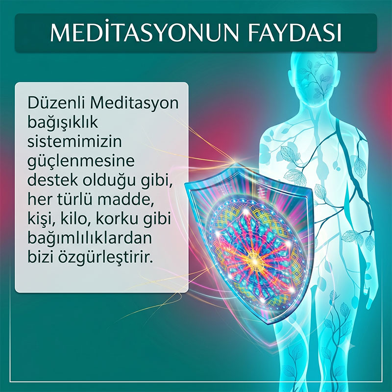Meditasyon ve bağışıklık desteği
