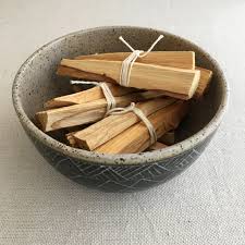 The Magic and Medicine of Palo Santo ebru şinik david crow interview