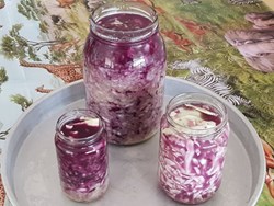 Dünyanın En Güçlü Doğal Probiyotiği: Sauerkraut Yapımı