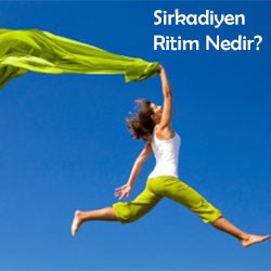 Vücudumuzun Biyolojik Saati - Sirkadiyen Ritim