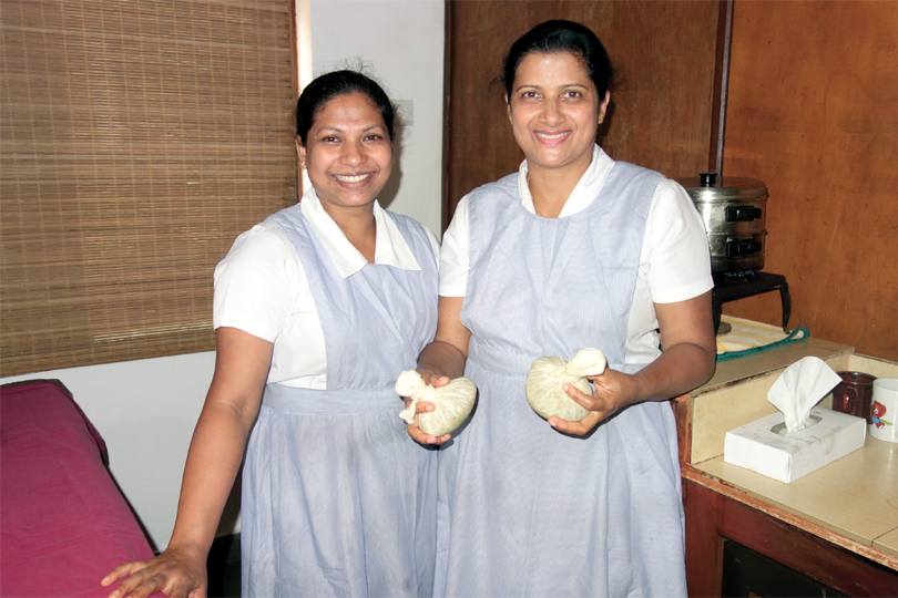 Gerçek bir Ayurvedik Detoks Deneyimi Sri Lanka Ebru Şinik