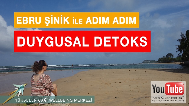 duygusal detoks uygulaması ebru şinik